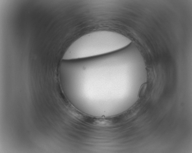 X0000069830557200605190945