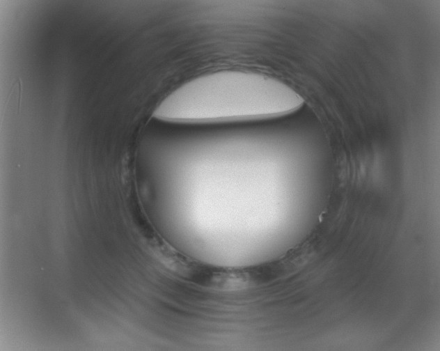 X0000069830559200605190945