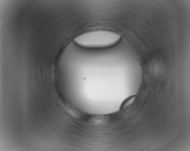 X0000069830563200605190945