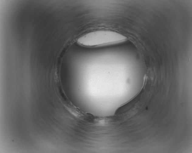 X0000069830564200605190945