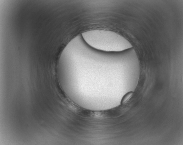 X0000069830565200605190945