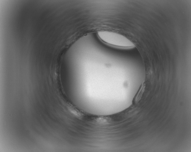 X0000069830566200605190945