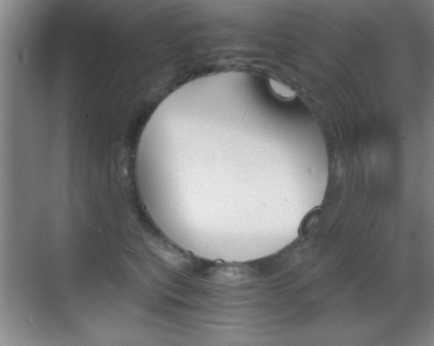 X0000069830567200605190945