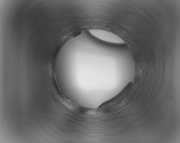 X0000069830568200605190945