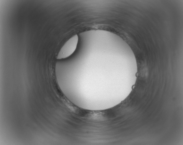 X0000069830569200605190945