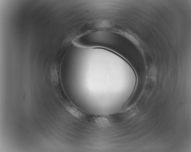 X0000069830572200605190945