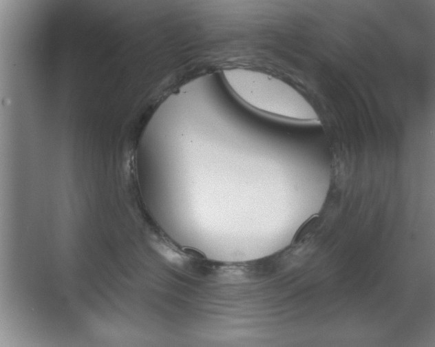 X0000069830574200605190945