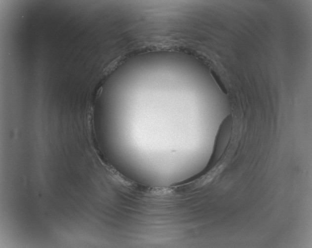 X0000069830576200605190945