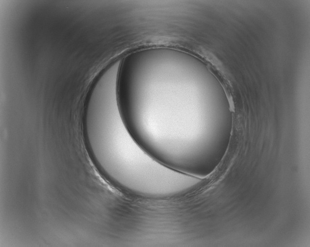 X0000069830577200605190944