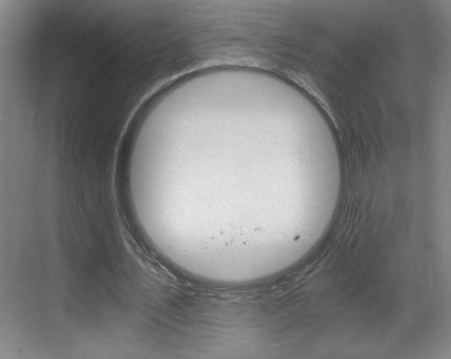 X0000069830579200605190944