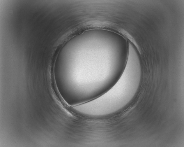 X0000069830581200605190944