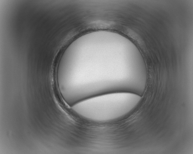 X0000069830582200605190944