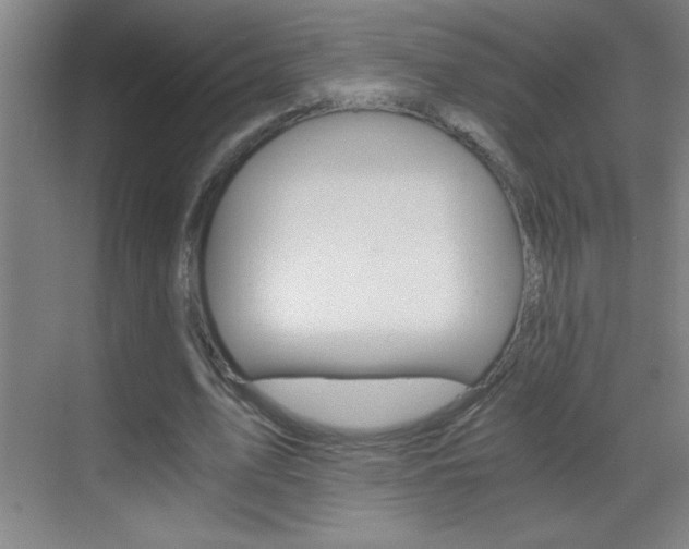 X0000069830583200605190944