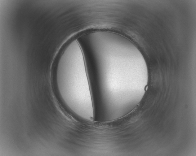 X0000069830584200605190944