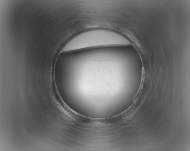 X0000069830585200605190944