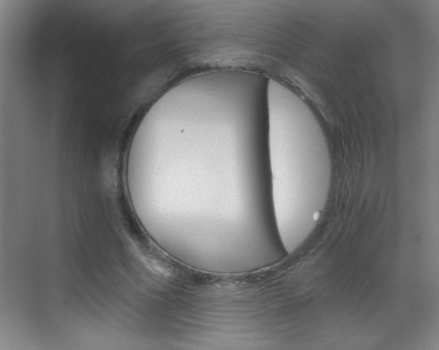 X0000069830586200605190944