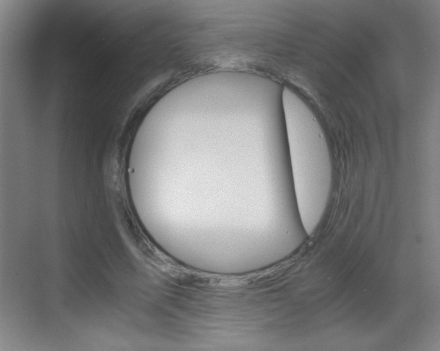 X0000069830587200605190944