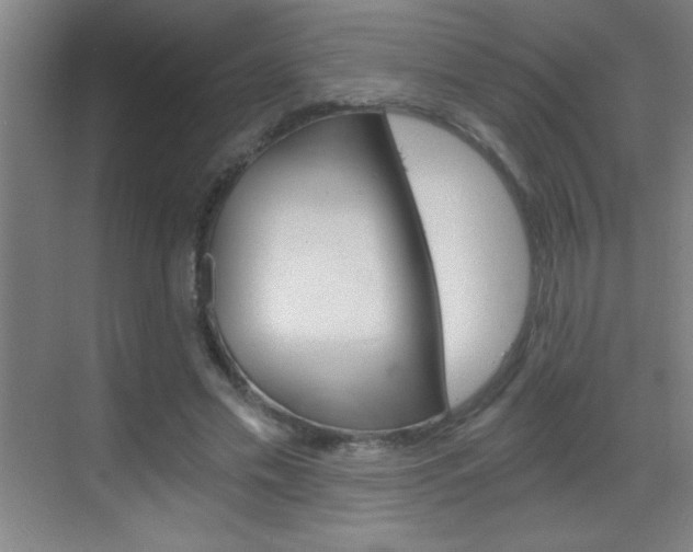 X0000069830589200605190944