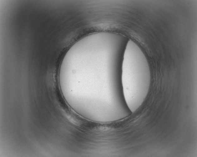 X0000069830590200605190944