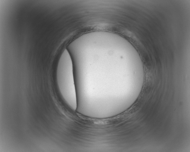 X0000069830591200605190944