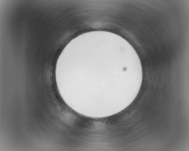 X0000069830592200605190944