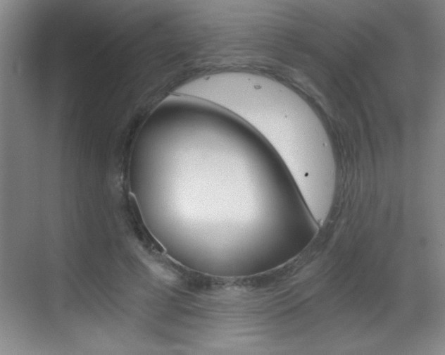 X0000069830593200605190944