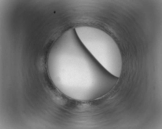 X0000069830594200605190944