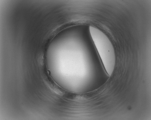 X0000069830596200605190944