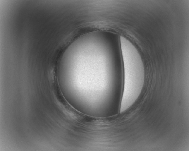 X0000069830597200605190944