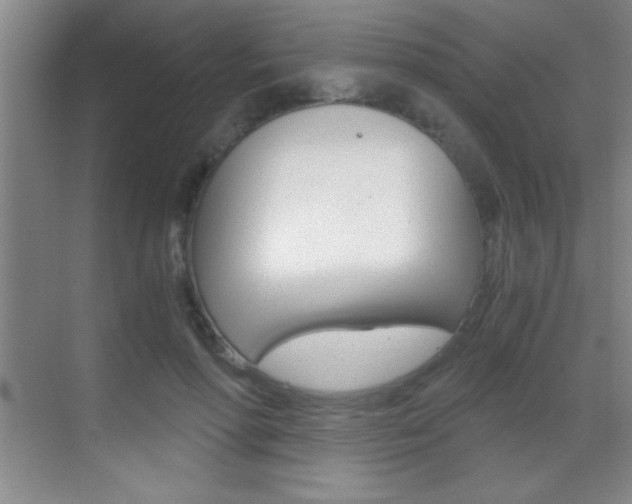 X0000069830598200605190944