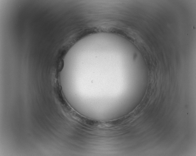 X0000069830599200605190944