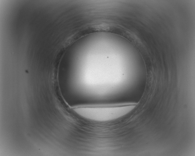 X0000069830600200605190944