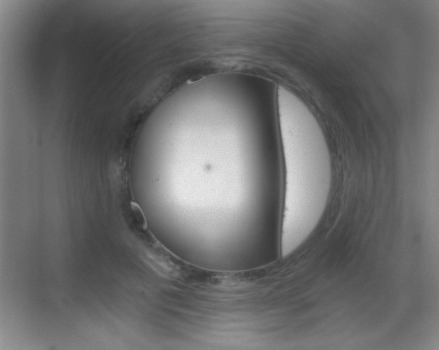 X0000069830601200605190944