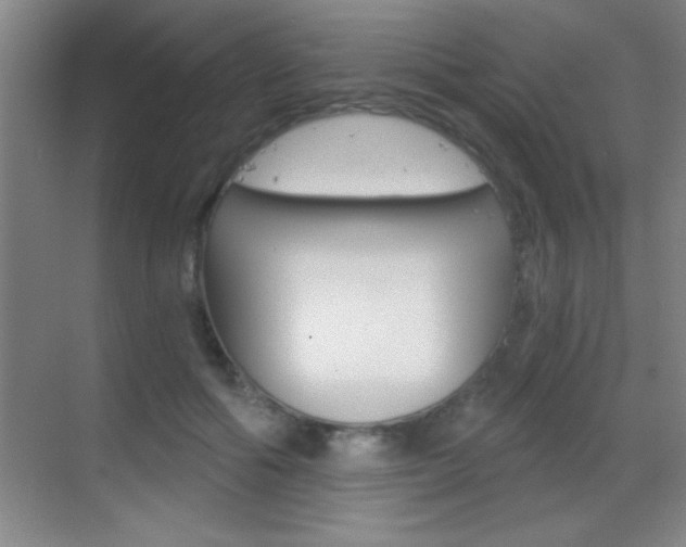 X0000069830602200605190944