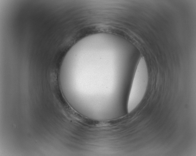 X0000069830603200605190944