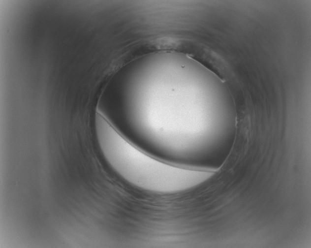 X0000069830604200605190944