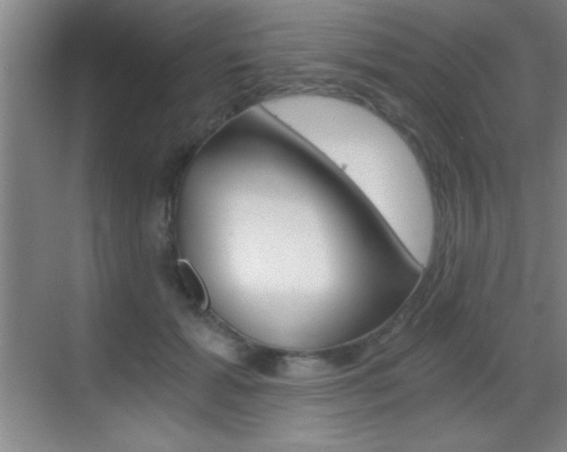 X0000069830605200605190944