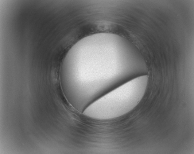 X0000069830606200605190944