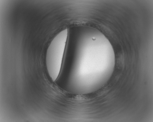 X0000069830608200605190944