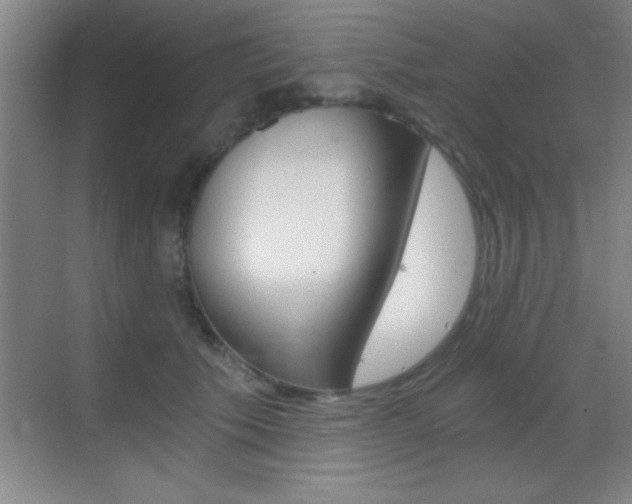 X0000069830609200605190944