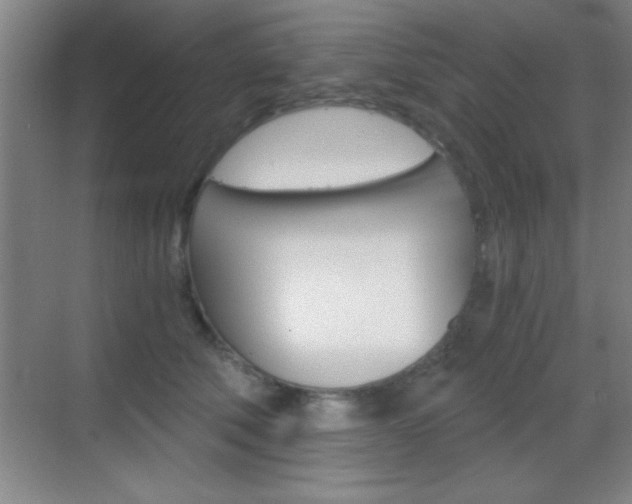 X0000069830610200605190944