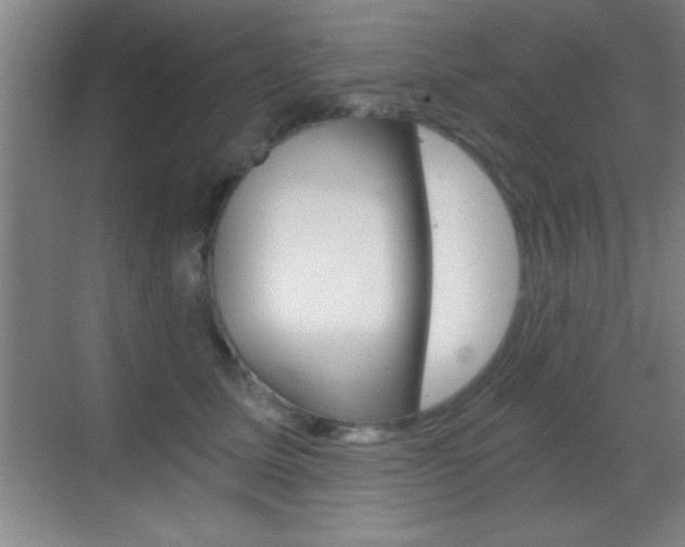 X0000069830611200605190944