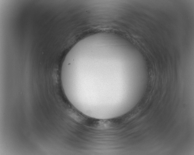 X0000069830612200605190944