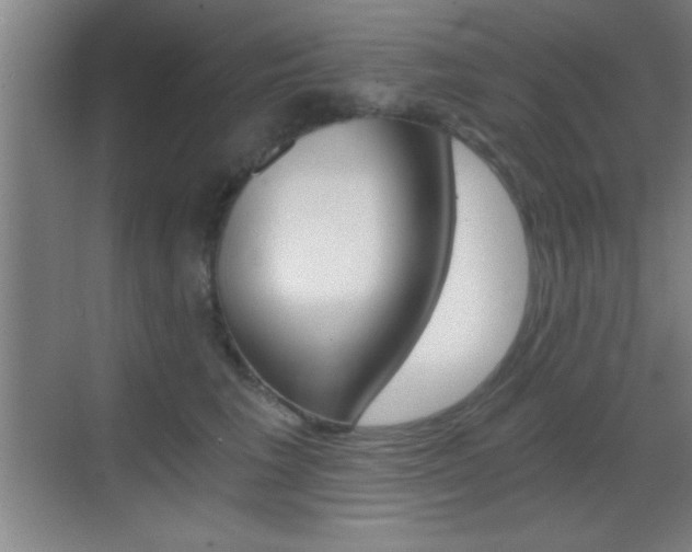 X0000069830613200605190943