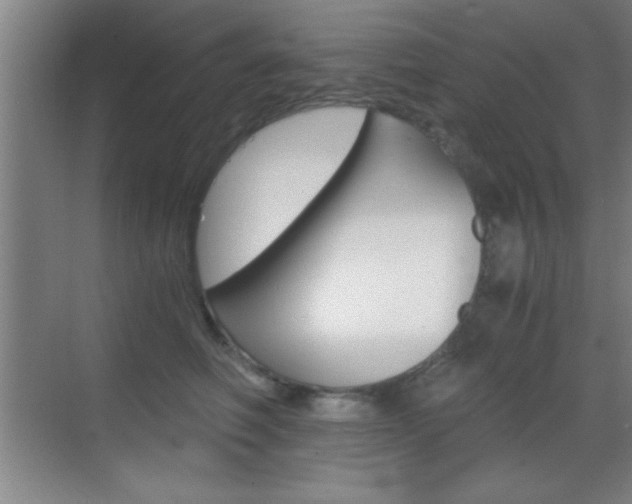 X0000069830614200605190943