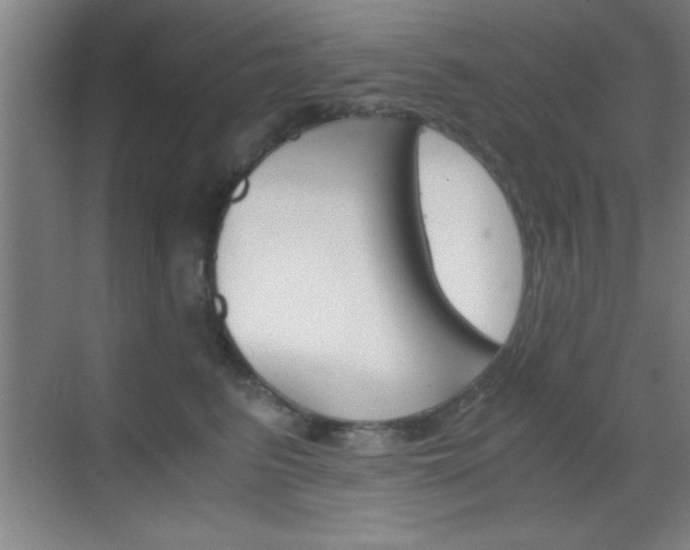 X0000069830615200605190943