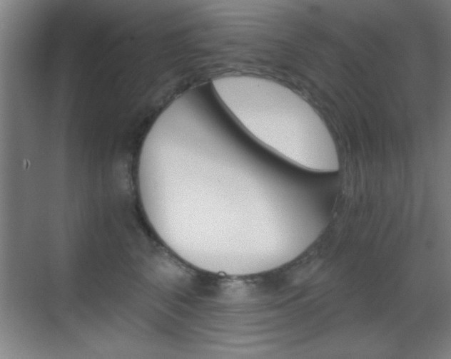 X0000069830616200605190943