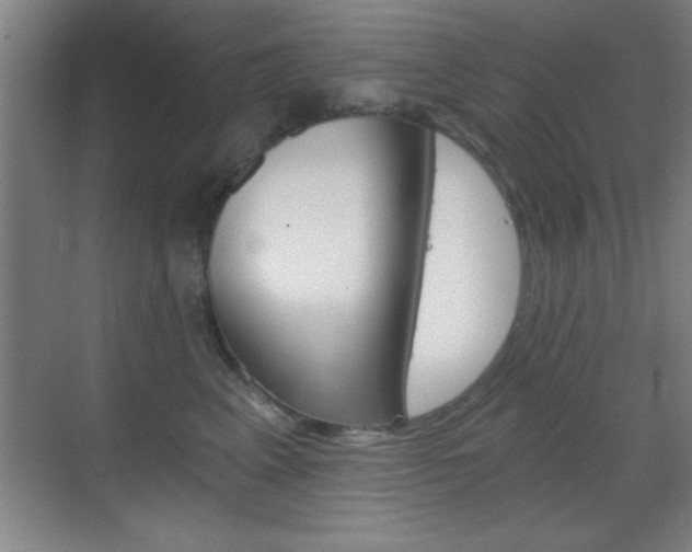 X0000069830617200605190943