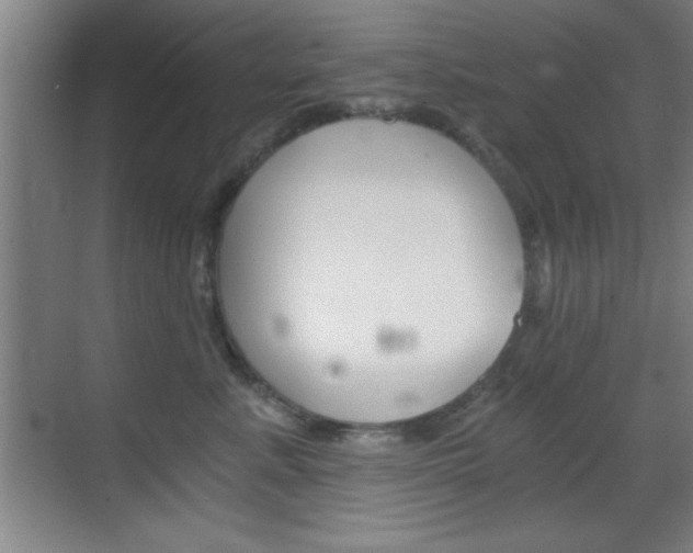 X0000069830619200605190943