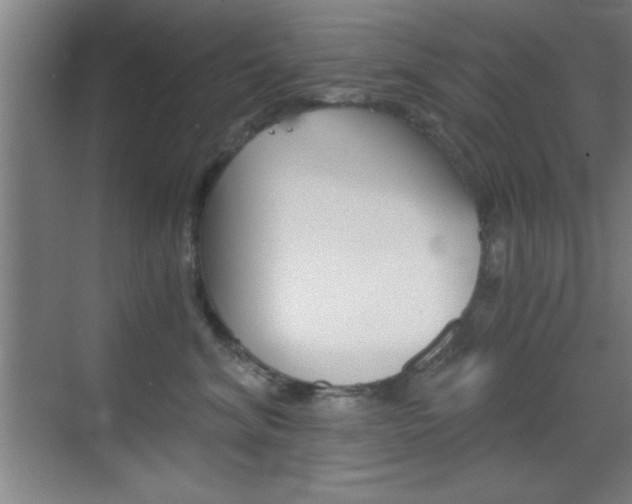 X0000069830620200605190943